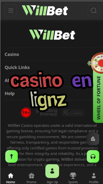 Casino En Lignz - Best Online Casinos & Bonus Offers-casinoorder.vip